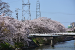 見とれて