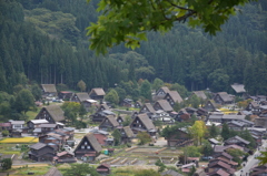 白川郷
