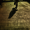 Shadow