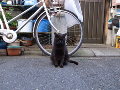 写真なんか撮ってんじゃねーヨ！