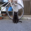 写真なんか撮ってんじゃねーヨ！