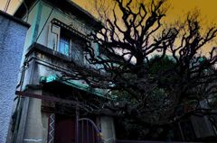 暗闇坂の洋館