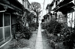昭和の小径