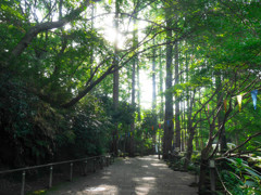 公園