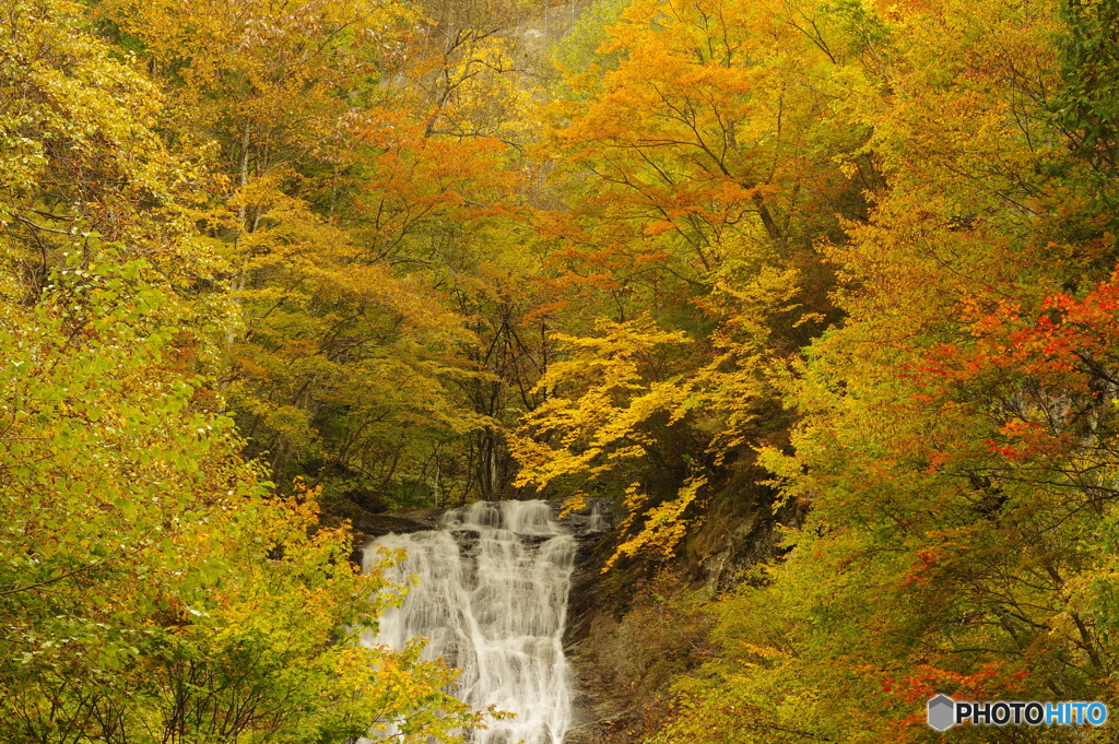 秋づく唐沢の滝