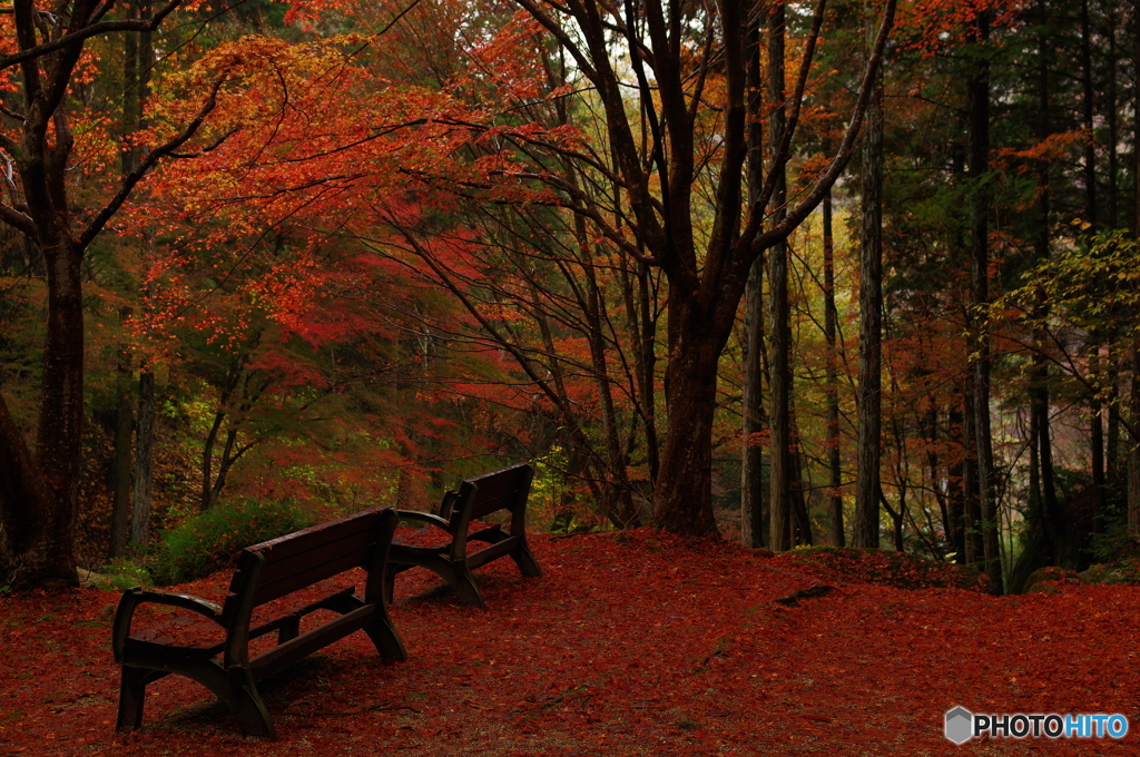 鬼岩公園