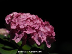 71