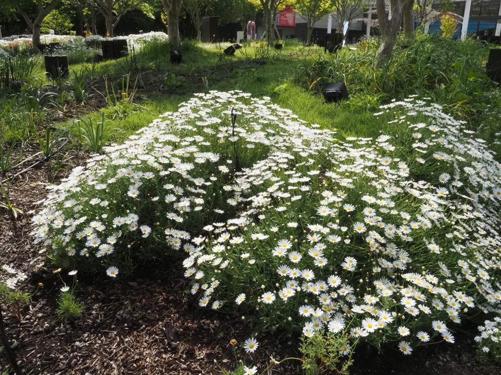 mm00004214長居植物園