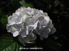 57