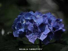 78