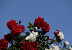 荒牧公園mm00005607