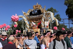 灘けんか祭り