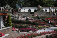 荒牧公園mm00005622