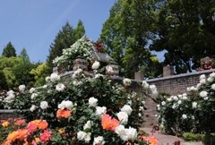 荒牧公園mm00005683