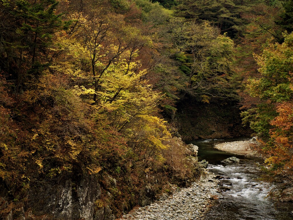 ある日の秋の記録　④