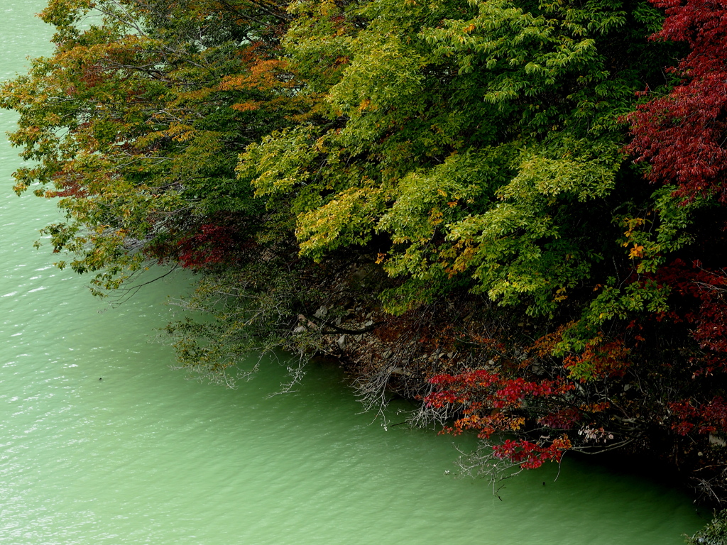 ダム湖の秋景3