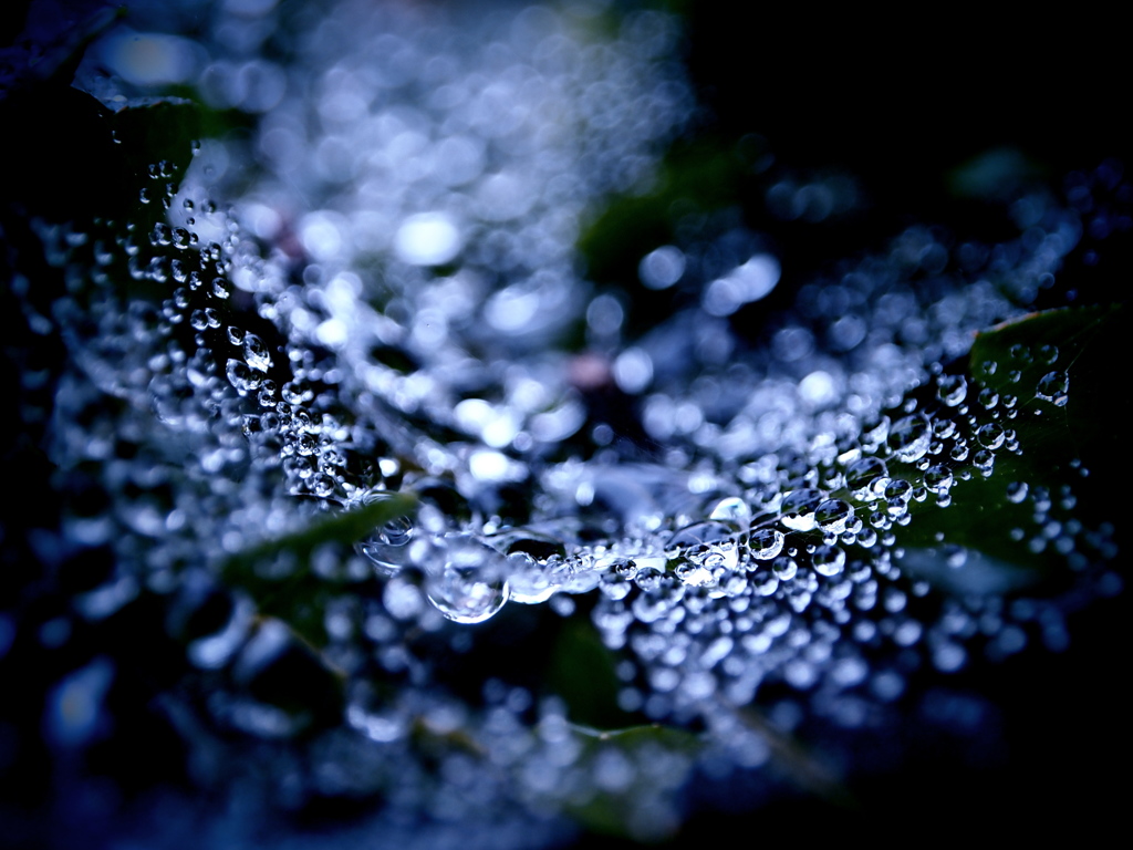 囚われの水