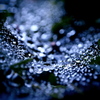 囚われの水