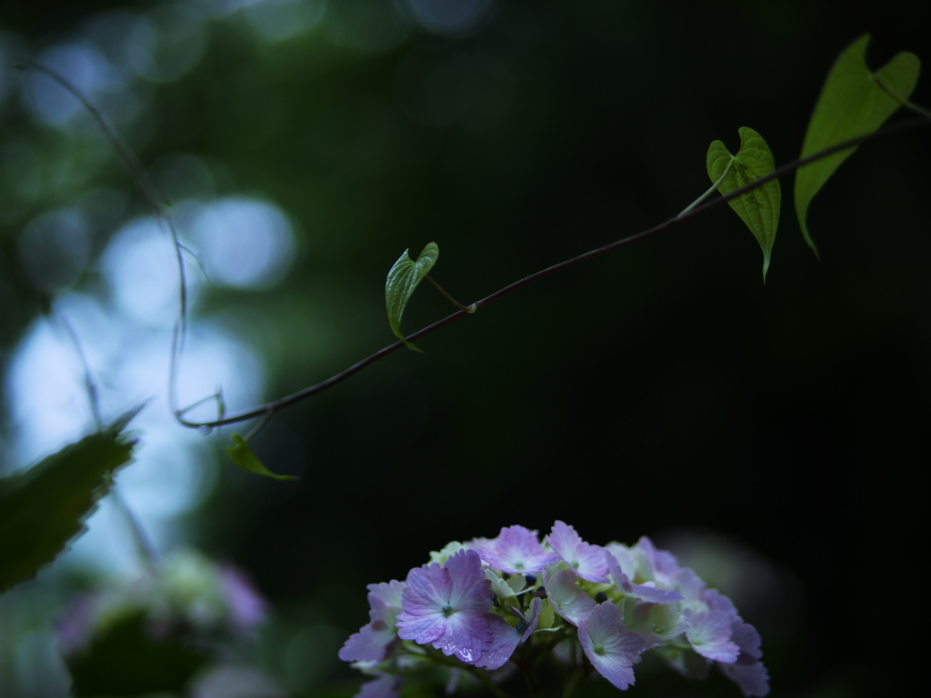 Distance