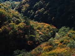 彩る谷