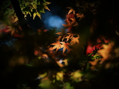 すぽっとらいと