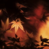 紅葉燃ゆ