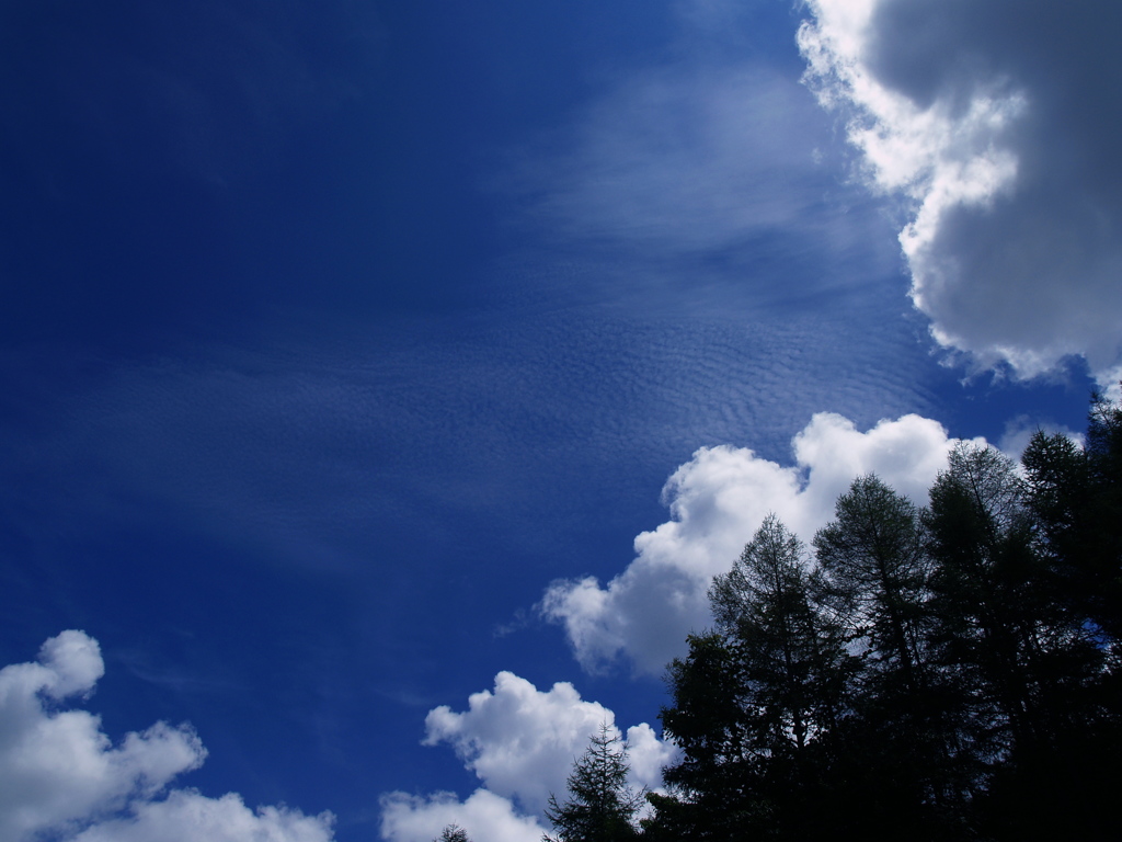 夏空