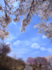 あの雲の下まで