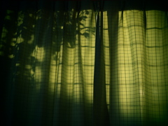 Ominous Shadow