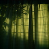 Ominous Shadow