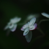 密やかに