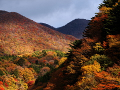 全山紅葉♪