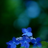 étoile bleue 青い星