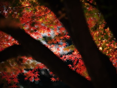 シルエットのむこう