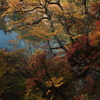 秋色の渓流　②