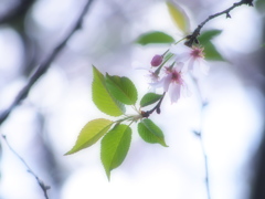 今日まで、そして明日から・・・