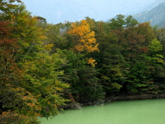 ダム湖の秋景2