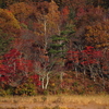 kannonnuma  8 years ago