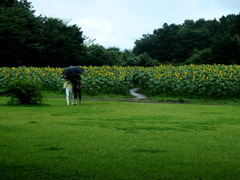 曇り時々雨