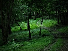 夏の小径
