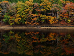 秋色の鏡像