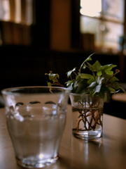 Cafe -グラス-