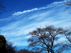 蒼穹の雲