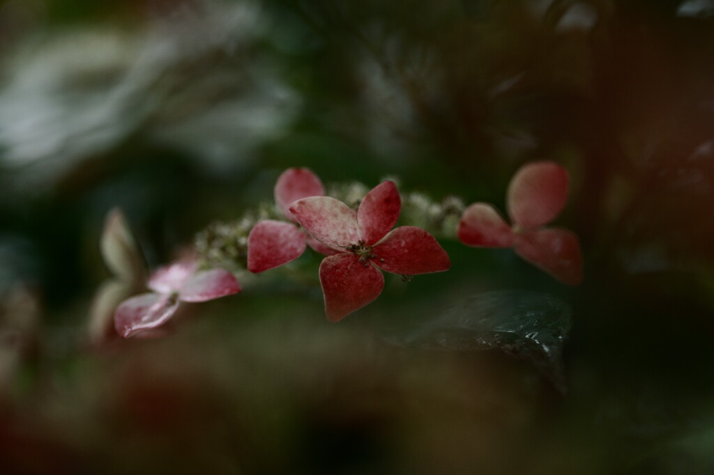 終焉