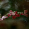 終焉