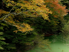 ダム湖の秋景1
