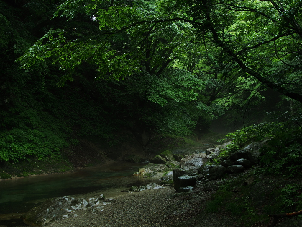 雨上がりの渓谷