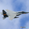 2Y9A1078