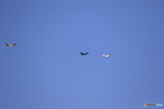 X-2 飛んだよっ！　1