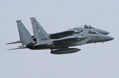 2Y9A1383